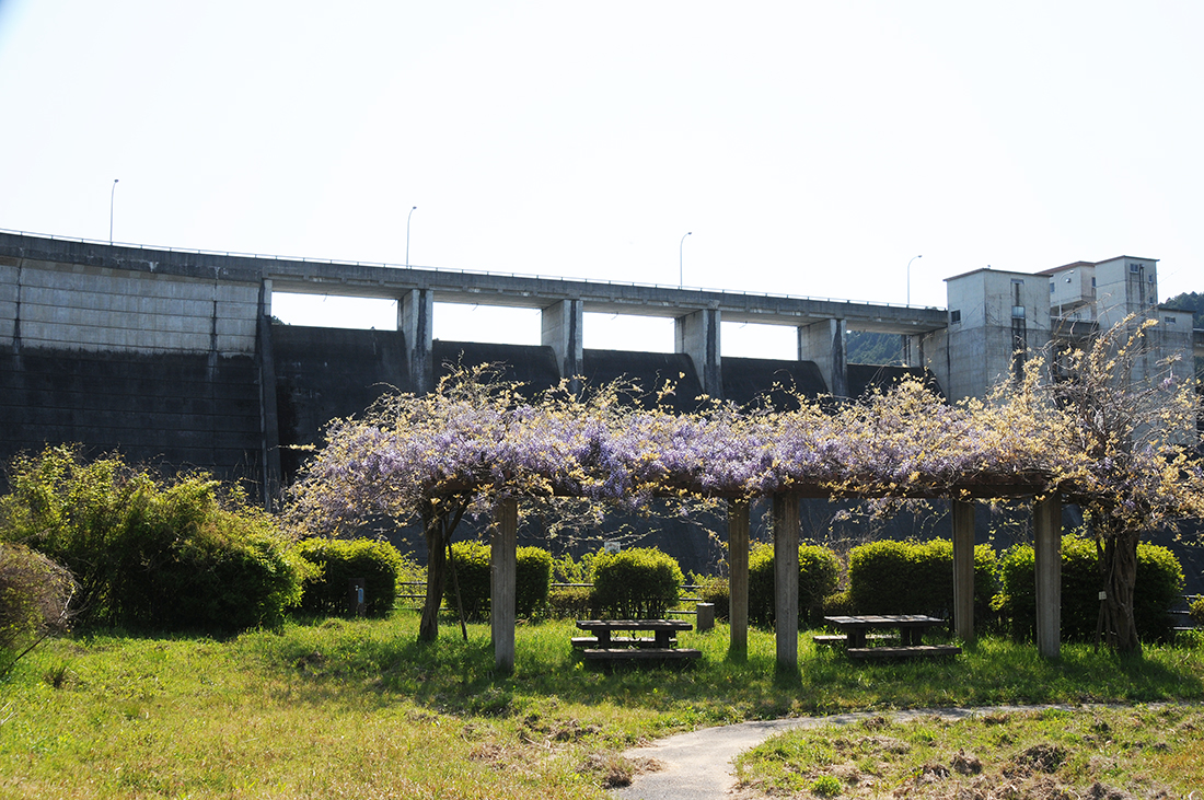 sugawara1