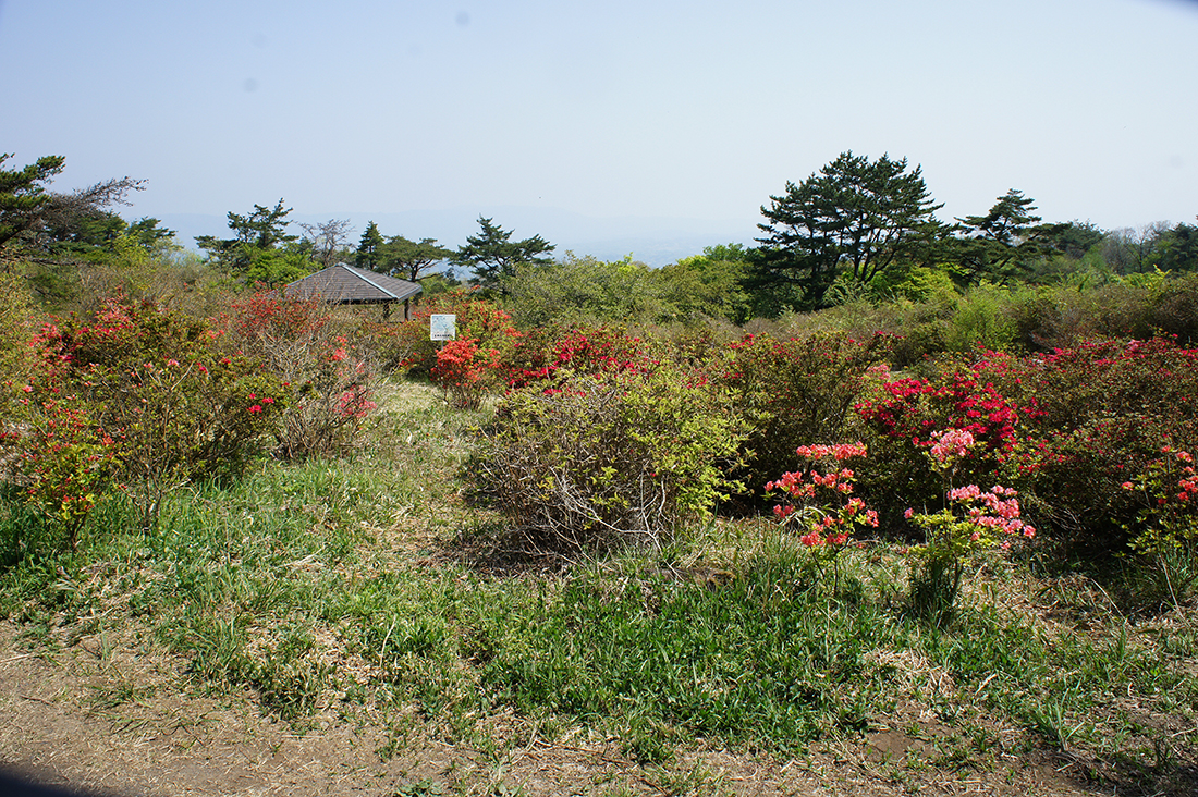 フォレストパーク神野山 　10